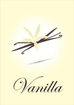 Vanilla chart vector illustration