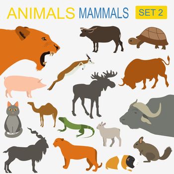 Animals mammals icon set. Vector flat style. Vector illustration

