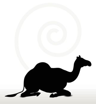 Vector Image - camel in Sitting pose  isolated on white background