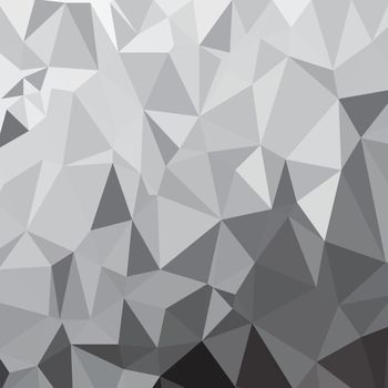  illustration  with abstract  silver polygonal background