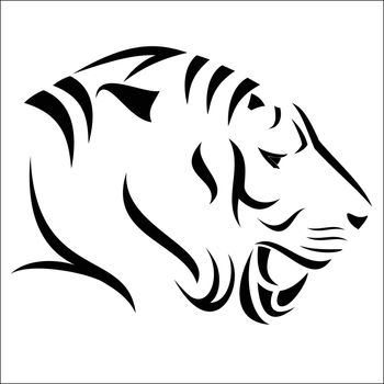 Vector illustration : Tiger Head on a white background.