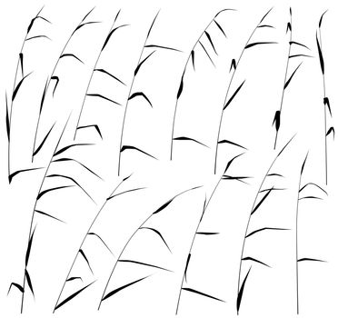 Set of eps8 editable vector silhouettes of reeds