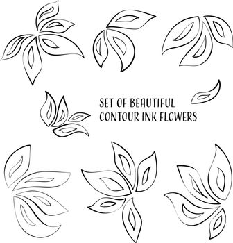 Set of beautiful contour ink orchid flowers