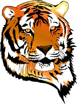 Illustration of Tiger Portrait Over White Background