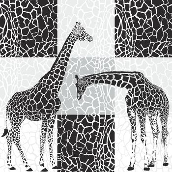 Vector illustration of a giraffes head and giraffe fur