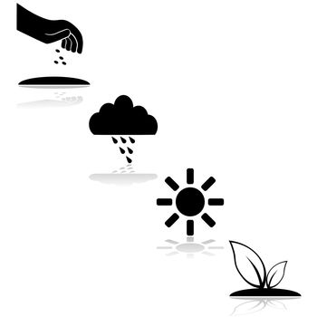 Icon set showing the steps needed for a plant to grow, with seeding, rain and sunshine