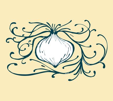Hand drawn vector illustration or drawing of a white onion