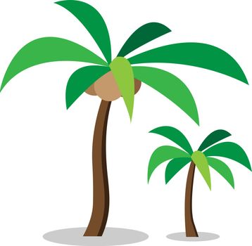 Two coconut trees with coconut ,vector