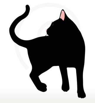 Vector Image - cat silhouette in Turn Around pose isolated on white background
