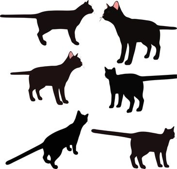 Vector Image - cat silhouette in standing pose isolated on white background
