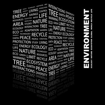 ENVIRONMENT. Word cloud concept illustration. Wordcloud collage.