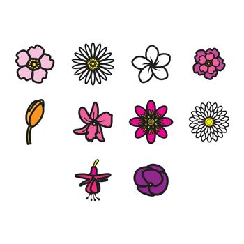 A different kind of flower icon collection