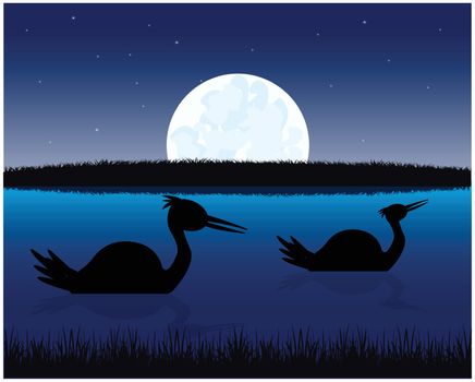 The Night landscape with water and bird.Vector illustration