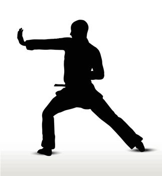 Vector image - karate silhouette, isolated on white background
