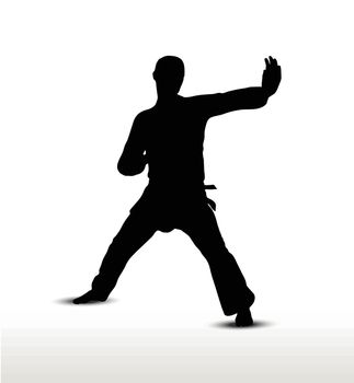 Vector image - karate silhouette, isolated on white background
