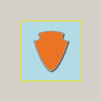 Vector Shield Icon