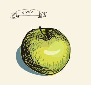 fresh useful eco-friendly apple