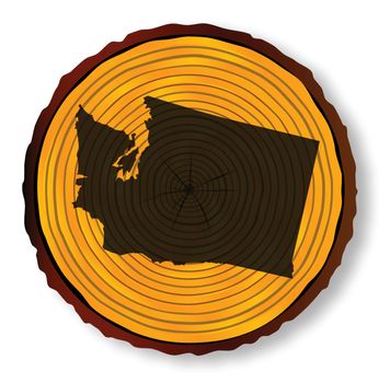 Map of Washington on a timber end section over a white background