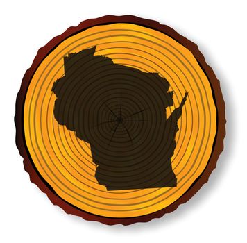 Wisconsin on a timber end section over a white background