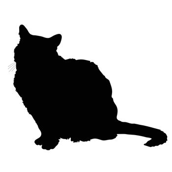 A black silhouette of a sitting cat