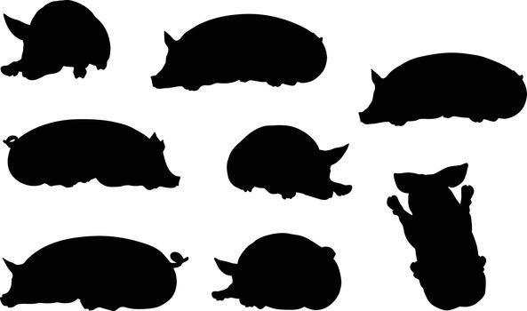 Vector Image, pig silhouette, in Lay pose, isolated on white background
