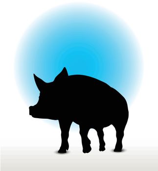 Vector Image, pig silhouette, in a walking position, isolated on white background
