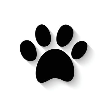 paw print icon with shadow isolated on white background
