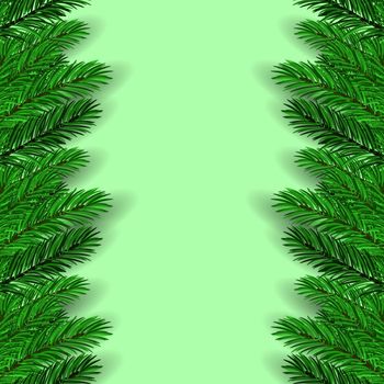 Green Fir Branches on Green Background. Christmas Background