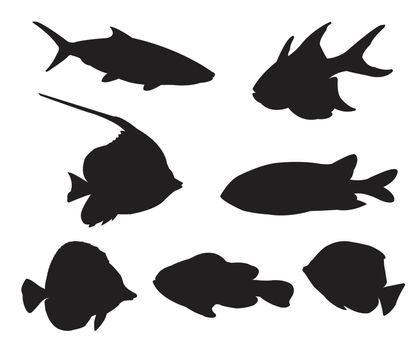 Fish Set Silhouettes on the white background