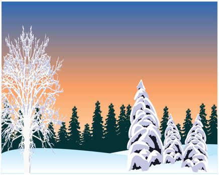 The Winter morning in in winter wood.Vector illustration