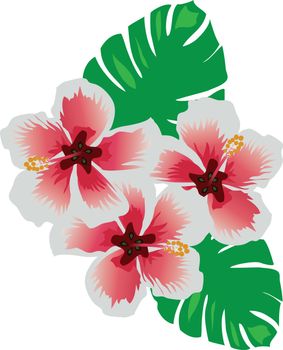 vector illustration of tropical flowers