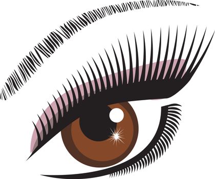 vector illustration of an eye brown with long lashes