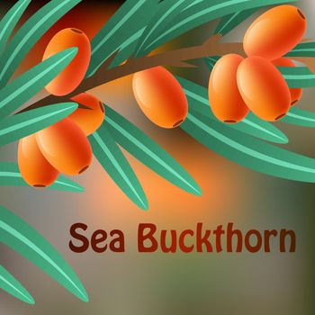 Orange, juicy, therapeutic sea-buckthorn on a branch for your design. Vector illustration