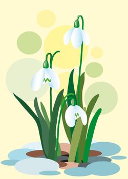 Snowdrops on a abstract background. Spring illustration. Illustration of flowers. Spring. Vector illustration