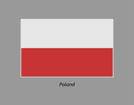 Poland flag. Illustration of the flag on gray backgound. Illustration contains text: poland