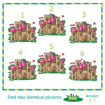 Find two identical pictures of vector castle