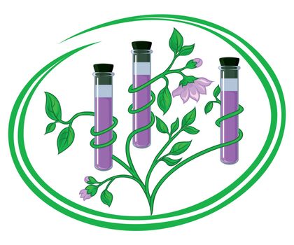 Conceptual illustration representing test tubes with natural components twined about by stems plants
