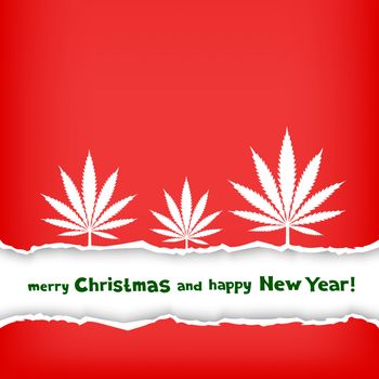 Christmas congratulation torn red paper and frame with the message of greetings on white background. Growing cannabis hemp marijuana white leaf