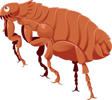 Vector image of a cartoon brown flea 