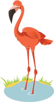 Vector image of a cartoon pink flamingo