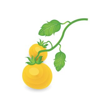 Tomato tree Yellow Color icon