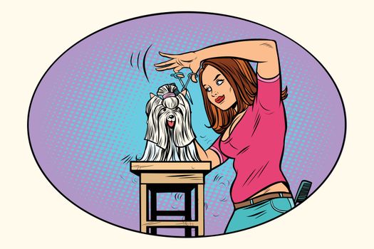 dog grooming, Barber shears pet. Comic book cartoon pop art retro style vector illustration