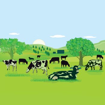 Cows on the pasture illustration