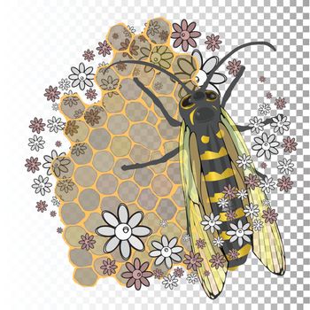 Bee with transparent wings on a transparent background with honeycombs and flowers. Vector illustration for your design.