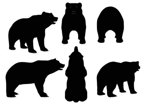 EPS 10 vector illustration of Bear silhouette 