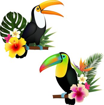 Toucan Set, Vector Illustration, With Gradient Mesh