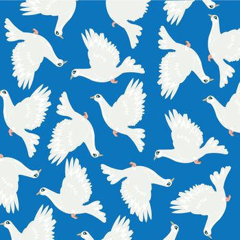 Birds dove on turn blue background is insulated