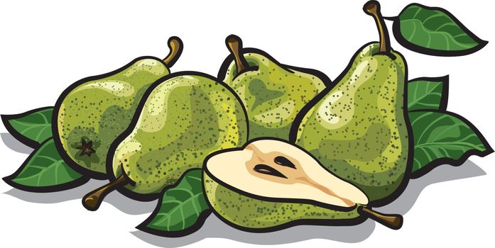 illustration of fresh tasty pears with leaves