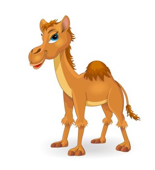 Cartoon camel of brown color on a white background.