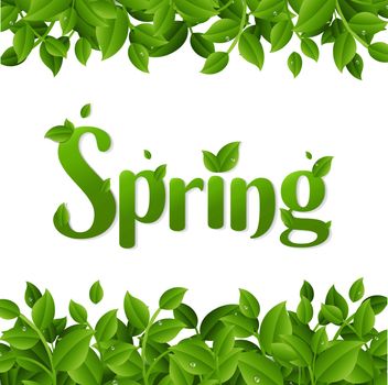 Spring Poster With Green Branches With Gradient Mesh, Vector Illustration